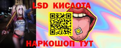 спайс Коммунар