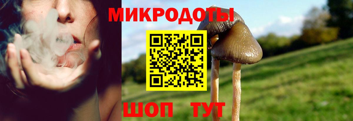 Черняховск  Псилоцибиновые грибы Cubensis  Вход с VPN 